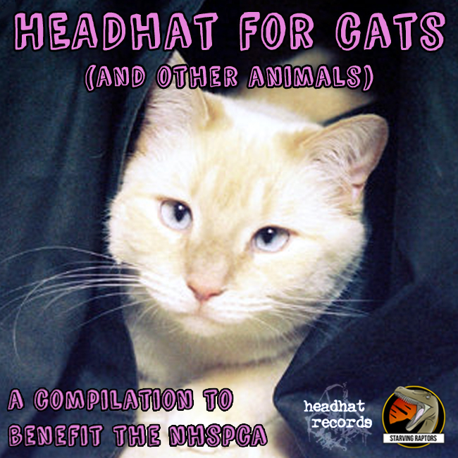 Headhat for Cats (And Other Animals)