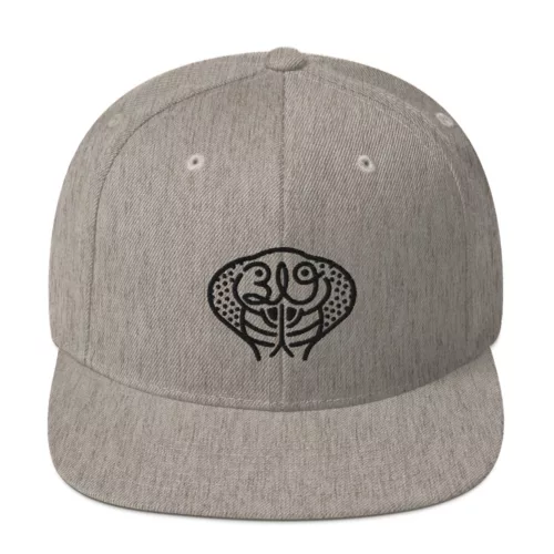 319 Heads - Snake Snapback