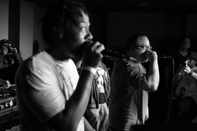 Typical Cats - Photo by Mikey Wally Typical Cats - Photo by Mikey Wally