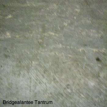 Bridgealantee - Tantrum