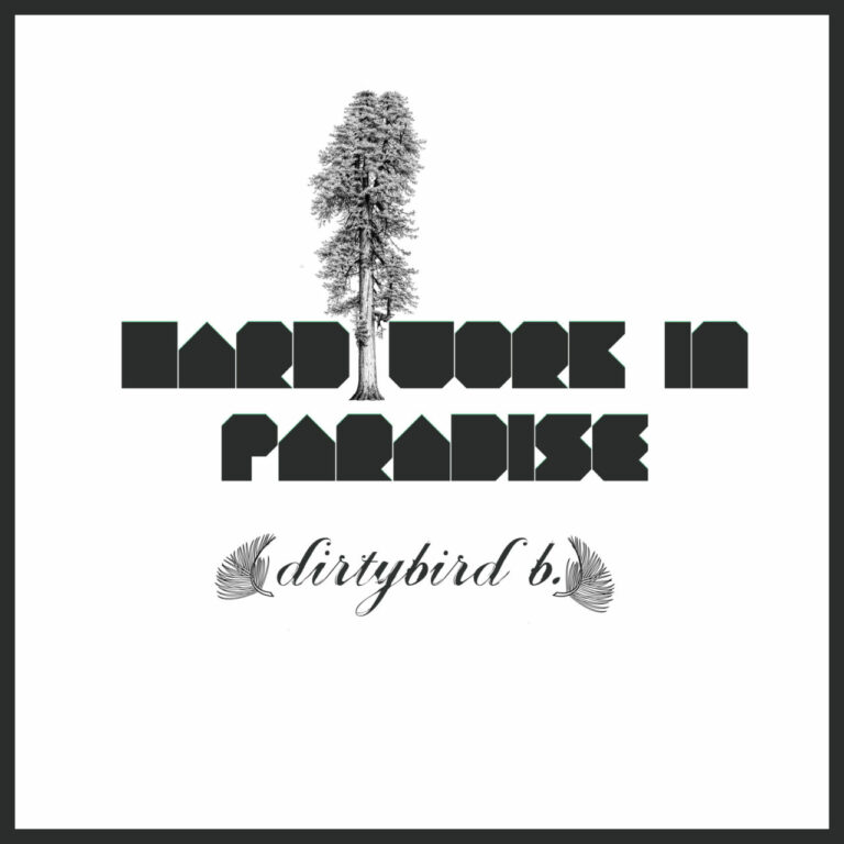 Dirtybird B - Hard Work in Paradise