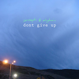 Serengeti & Polyphonic - Dont Give Up