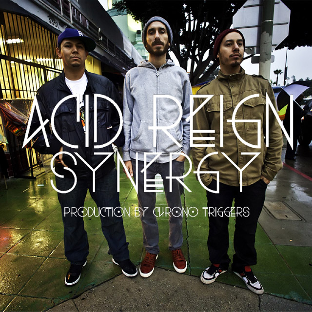 Acid Reign - Synergy